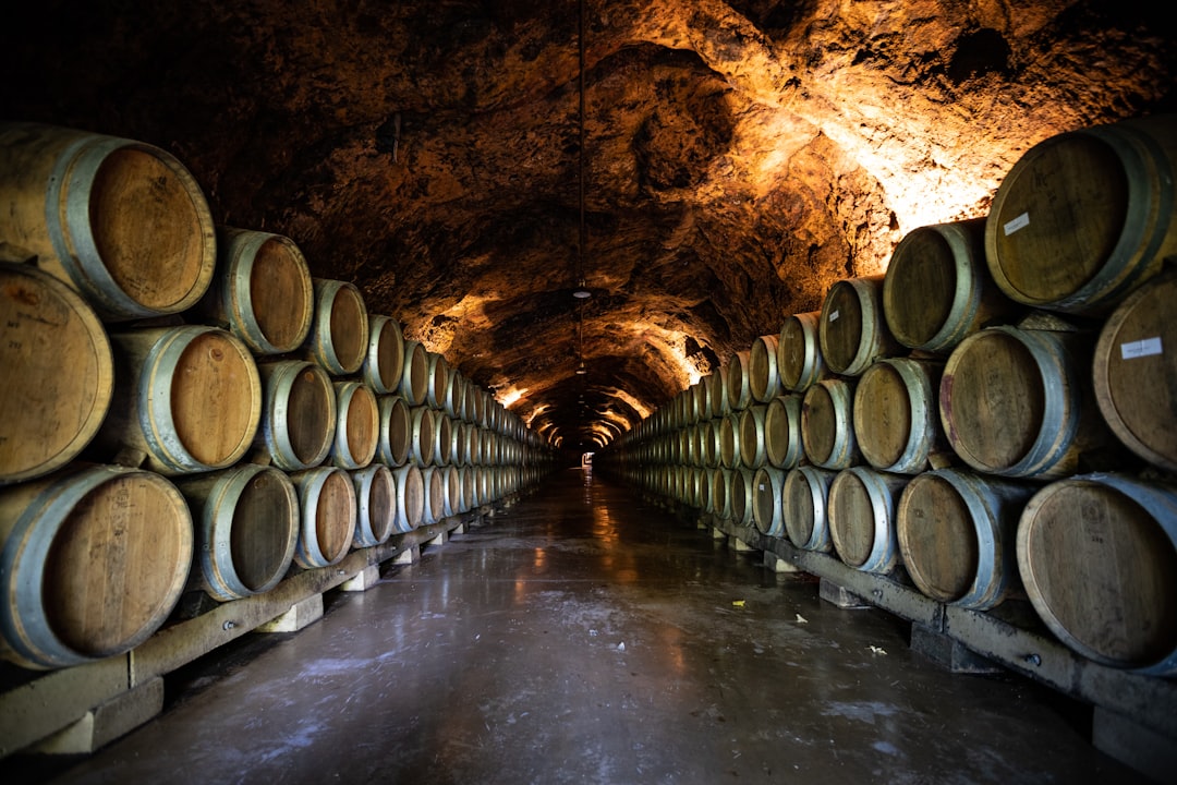 Sala de barricas de una bodega tradicional en La Rioja con cientos de barriles de roble